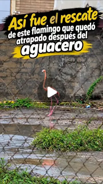 Publicación de Instagram de MAPACHE ECOAVENTURA