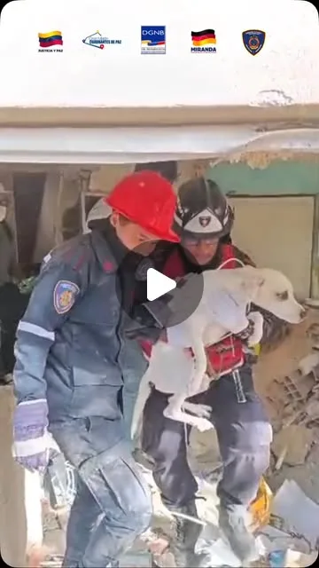 Publicación de Instagram de Bomberos del Estado Miranda