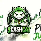 CASHCAT: la memecoin que se disparó tras su listado en Robinhood