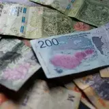 Close-up of Argentine pesos showcasing unique wildlife designs in Provincia de Buenos Aires.