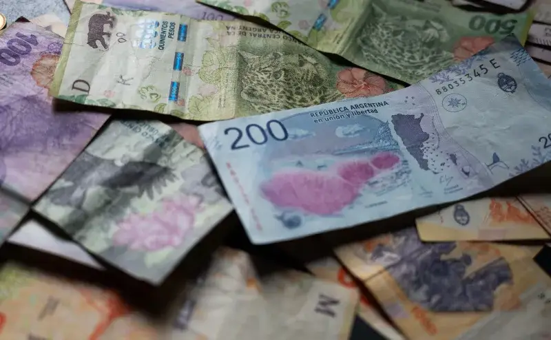Close-up of Argentine pesos showcasing unique wildlife designs in Provincia de Buenos Aires.