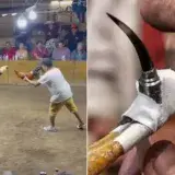 
				Un gallo de pelea atacó a navajazos a su dueño y terminó gravemente herido			