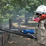 Despliegan operación nacional de fumigación contra el dengue