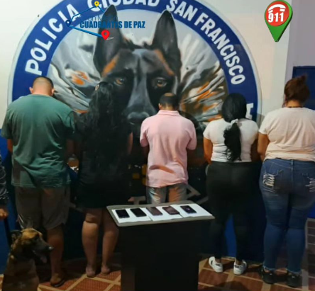 Cinco detenidos por violación de niña de 11 años