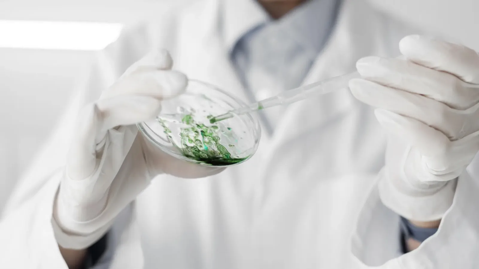Usan células madre modificadas para evitar que el cáncer reaparezca