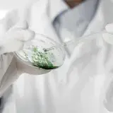 Usan células madre modificadas para evitar que el cáncer reaparezca