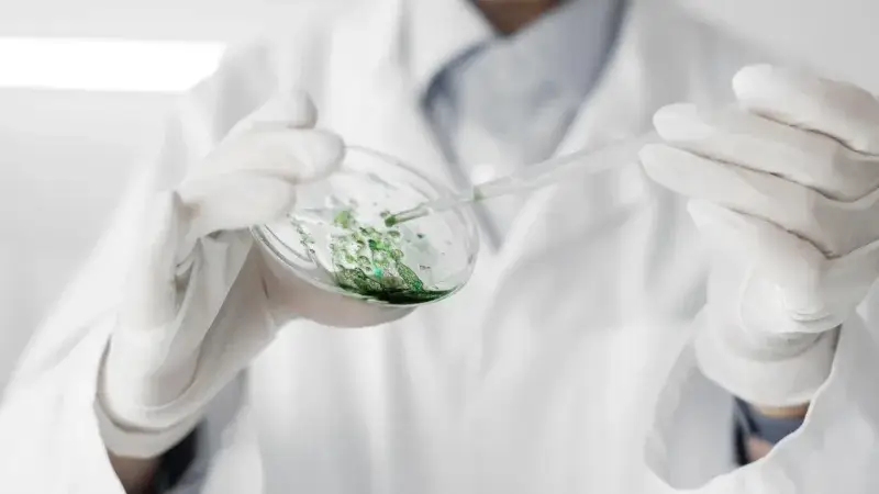Usan células madre modificadas para evitar que el cáncer reaparezca