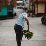 A man carrying a bunch of plantains in a vibrant street in Cundinamarca, Colombia.
