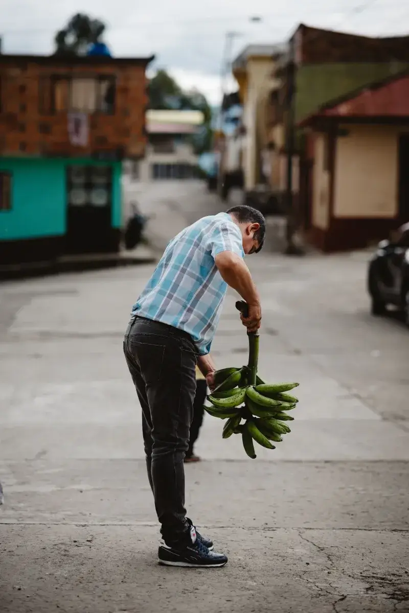 A man carrying a bunch of plantains in a vibrant street in Cundinamarca, Colombia.