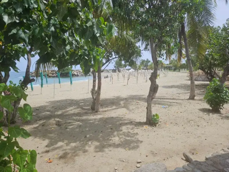 Playeros de La Guaira sobreviven reciclando chatarra