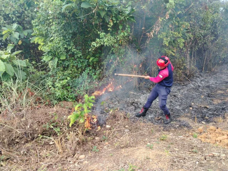 Bomberos controlan incendios forestales y de desechos en varios municipios de Trujillo
