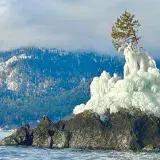 
			Esculturas de hielo aparecen en la orilla de un lago en la región rusa de Altái (FOTOS)		