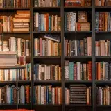 A warm, inviting library scene featuring a bookshelf, books, and a reading lamp.