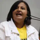 Figuera aclara que postura del enviado en EE. UU. no es la de la AN 2015