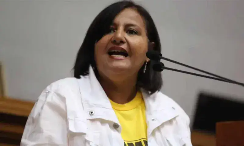 Figuera aclara que postura del enviado en EE. UU. no es la de la AN 2015