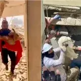 648 mascotas han sido rescatadas tras los terremotos en Venezuela