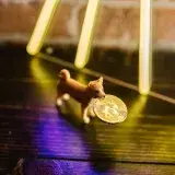 Plastic toy dog holding a gold bitcoin coin under vibrant neon lights on a wooden surface.