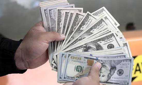 Estiman que el precio del dólar en el país volverá a duplicarse en 2024