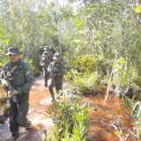 FANB destruye equipos usados para minería ilegal en Amazonas