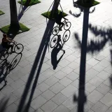 Vigorous physical activity linked to reduced Alzheimer's related deaths