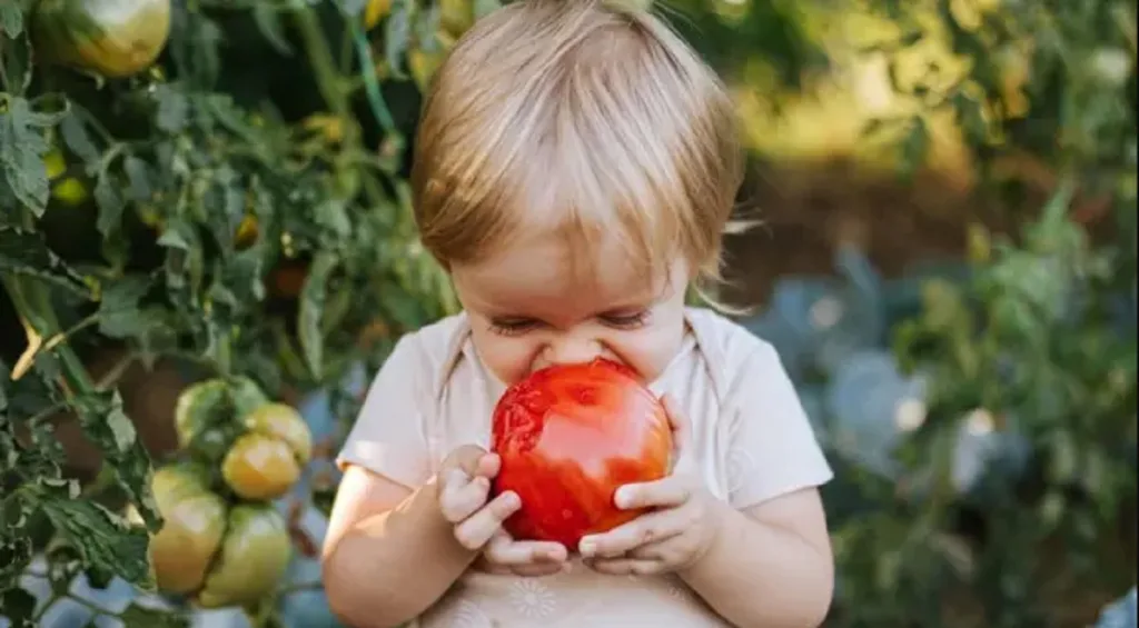 Seis claves para que niños coman más verduras