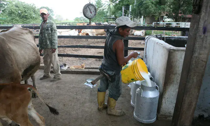 Merma producción en Zulia por fallas de luz, combustible y seguridad