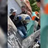 Perro rescatado tras casi tres semanas bajo escombros en Caraballeda