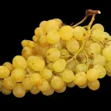 File:Raisin Italia - 4.jpg