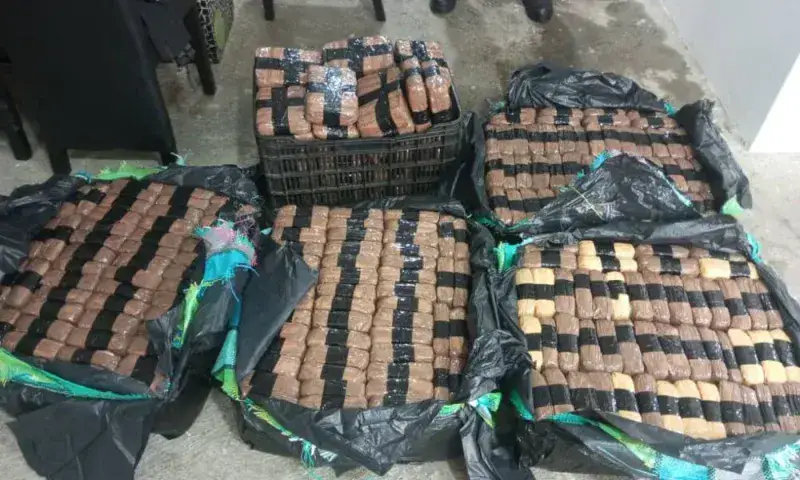 Detienen a 4 personas en La Guaira con 297 paquetes de marihuana