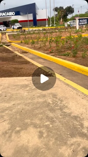 Publicación de Instagram de Protectores De La Vereda