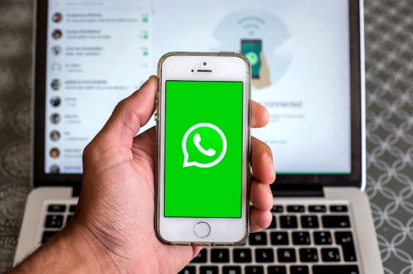 
			¿Cómo hacer que una copia de seguridad de Whatsapp pese menos en Google Drive?		