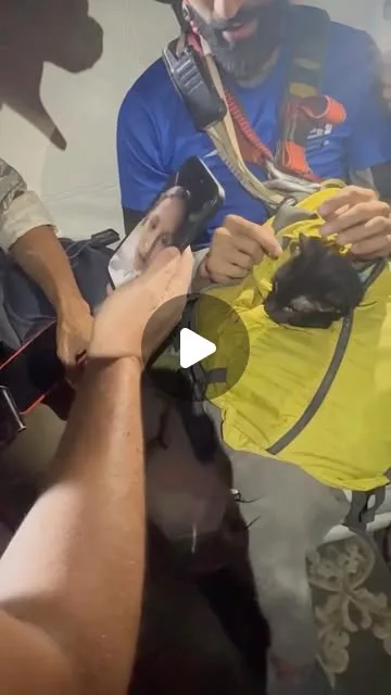 Publicación de Instagram de Roman Camacho