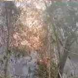 Productores combaten incendio con bombas de aspersión en Carora