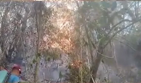 Productores combaten incendio con bombas de aspersión en Carora