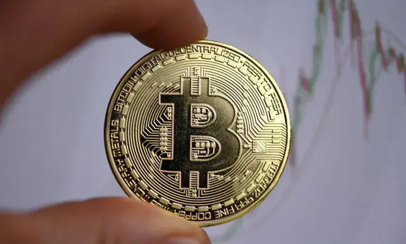 Ejecutivo revisa licencias mientras minería bitcoin reporta grandes pérdidas