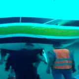 
				Impericia de un remolcador abrió un boquete en un avión de Rutaca en aeropuerto La Chinita			