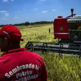 MinAgricultura: Esta semana se normalizará abastecimiento de diésel