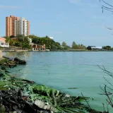 Inicia campaña de concienciación para salvar el Lago de Maracaibo