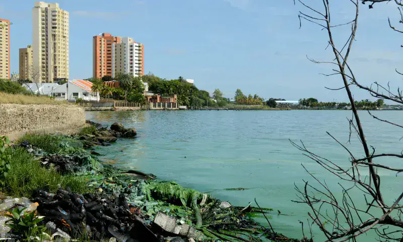 Inicia campaña de concienciación para salvar el Lago de Maracaibo