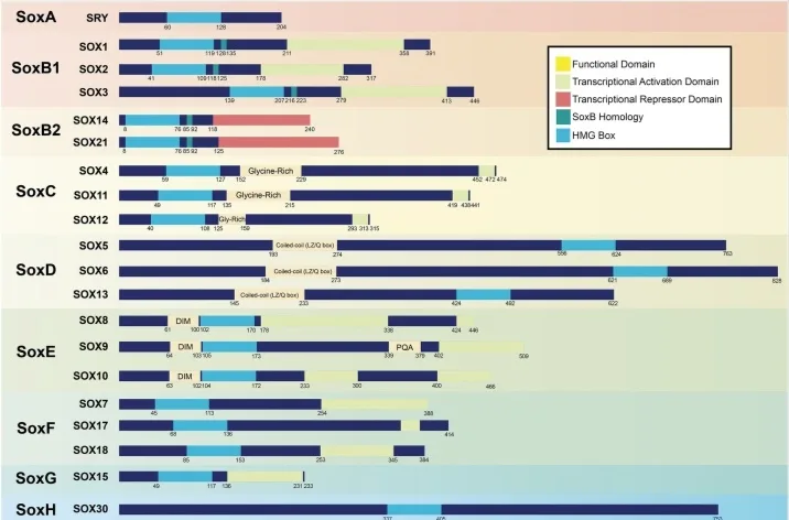 File:SOX factores Estruct Compara.jpg