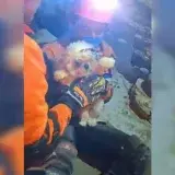 Un perro sobrevive 96 horas bajo escombros en Caraballeda