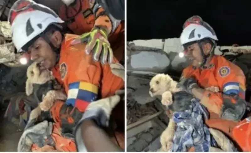 Rescatistas salvadoreños hallan con vida a Giselle tras 5 días bajo escombros en Caraballeda