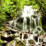 Bosque seco de Ecuador: árboles y cactus responden distinto