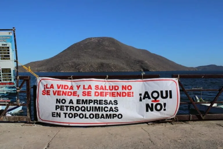 Sheinbaum respalda planta de amoniaco en Sinaloa
