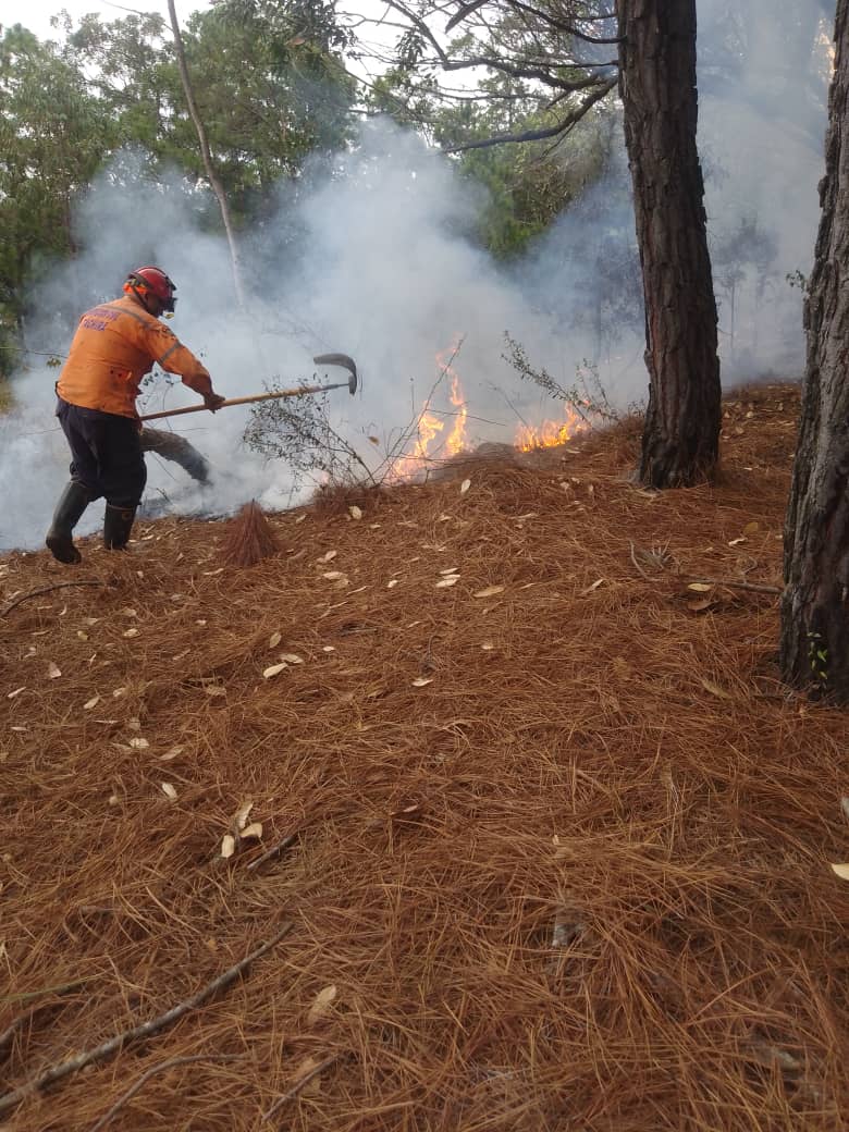 Bomberos rescatan a 21 personas de incendio