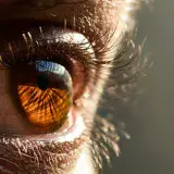 
				40 curiosidades del ojo | Un órgano de funcionamiento perfecto			
