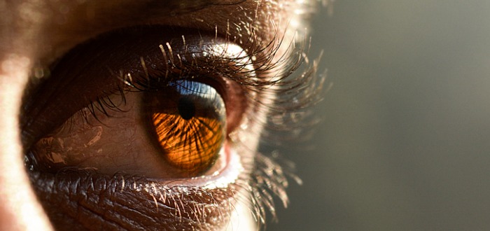 
				40 curiosidades del ojo | Un órgano de funcionamiento perfecto			