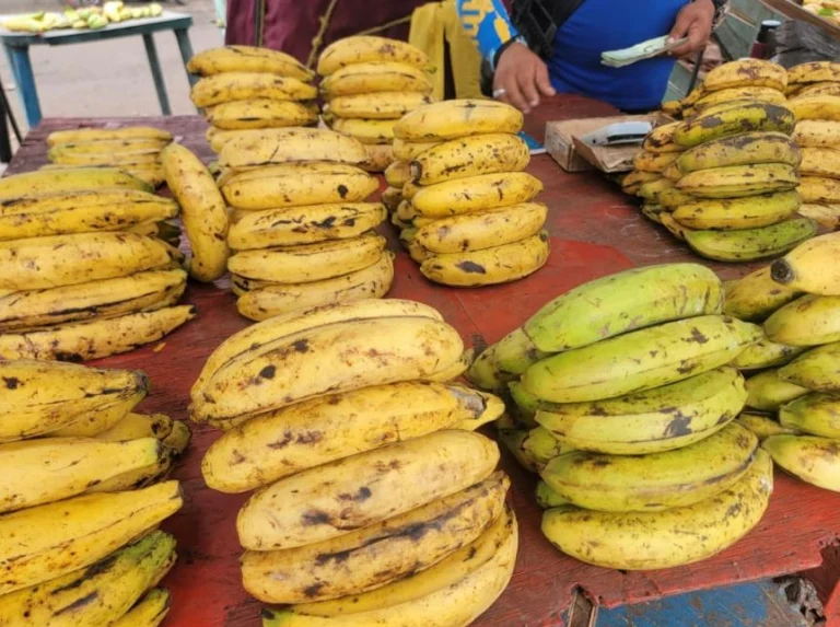 El plátano se encarece en Maracaibo y ya pesa en la mesa