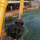 Van 28 mil toneladas de desechos recogidos en el Lago de Maracaibo