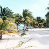 Serene tropical beach with palm trees in Javier Rojo Gómez, Mexico.